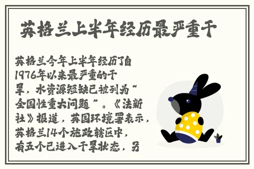 午夜久久久